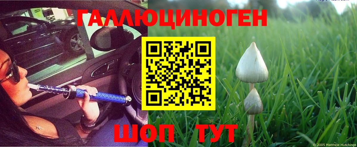 Подольск  сколько стоит  Псилоцибиновые грибы MAGIC MUSHROOMS  Вход с VPN  Псилоцибиновые грибы ЛСД 