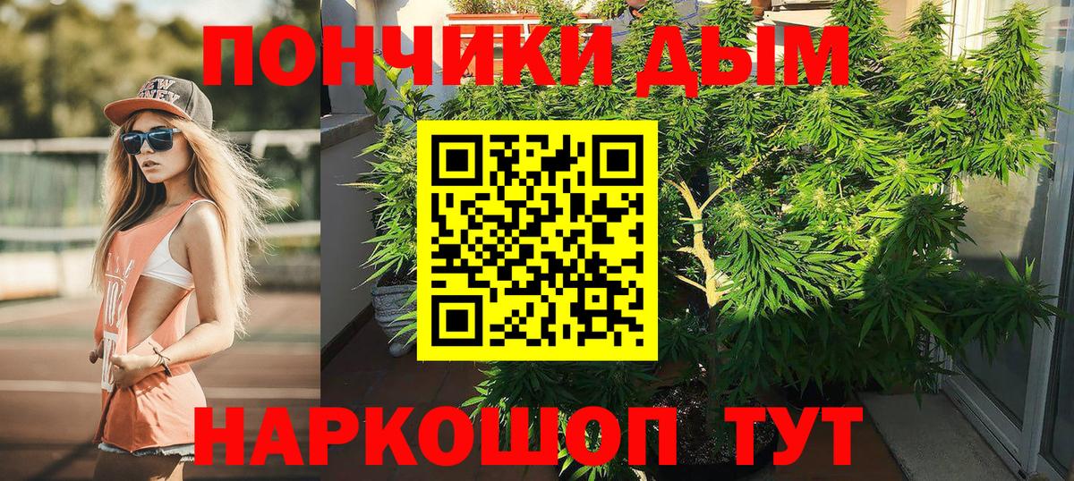 Бошки марихуана семена  Шишки марихуана семена  Марихуана SATIVA & INDICA  Бошки марихуана тримм  Вход с VPN  Подольск 